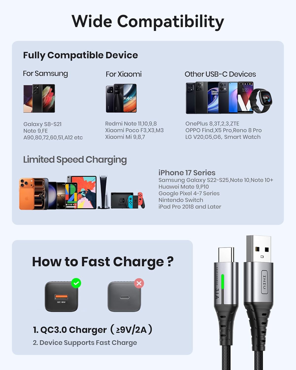 Iniu USB C Charger