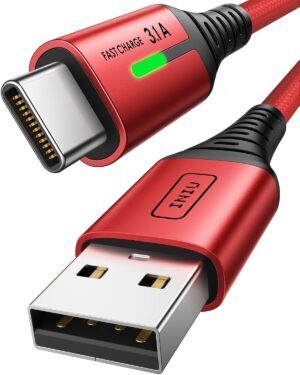 Iniu USB C Charger